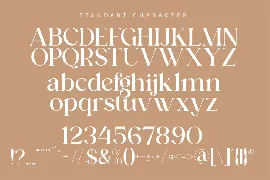 Modern Elegant Serif Font