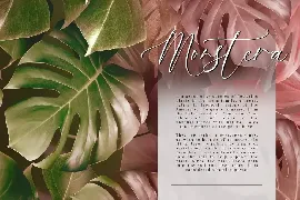 Samerosella - Elegant Script font