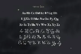 Galileo Galilei - Serif & Script Duo font