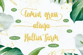 de Floras - Regular font