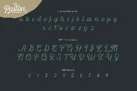 The Paiton -Modern Script Font