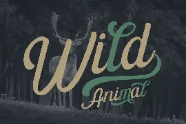 The Paiton -Modern Script Font