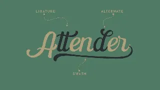 The Paiton -Modern Script Font