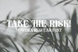 Mowera - Bold Serif font