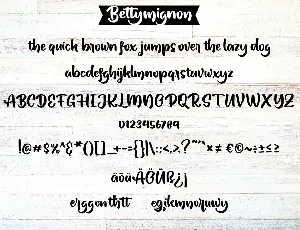 Betty Mignon | Bold Handwriting Script Font