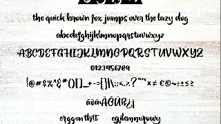 Betty Mignon | Bold Handwriting Script Font