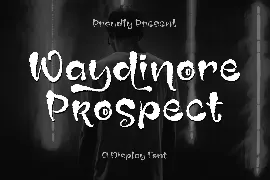 Waydinore Prospect A display Font