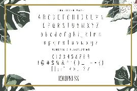 Eirene - Girly font