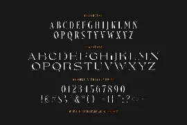 Nefarious - Modern Serif font