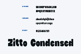 DTF Zitto Condensed font