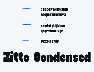 DTF Zitto Condensed font