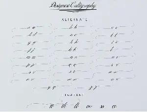 Designest Calligraphy font