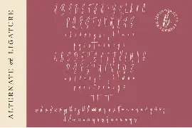 Medisonatyl - Handwritten Signature font