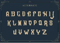 Rasonic font