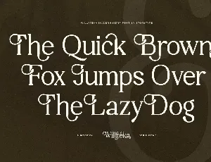 Willfteka A Modern Serif Font