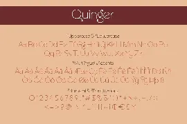 Quinger - Unique Sans Display font