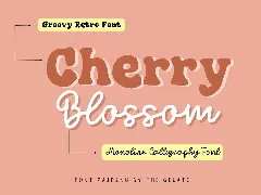 Cherry Blossom Handwritten Retro Font Duo