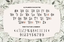 Nokeirs - Modern Classic Font