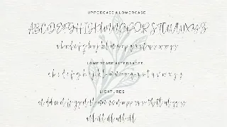 Watercoral font