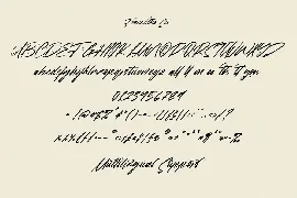 Francestha Super Slanted Signature Font