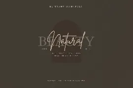 Brittany Signature Business Font