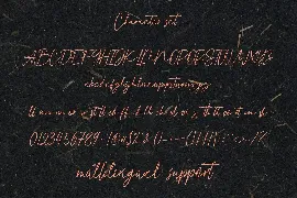 Authorians Signature Font