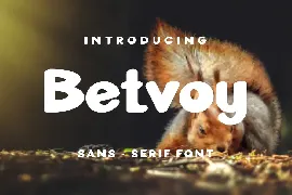 Betvoy Font