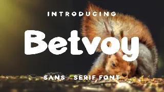 Betvoy Font