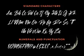 Blastter - Brush Font