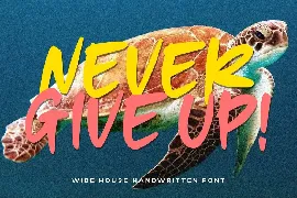 Wide House font