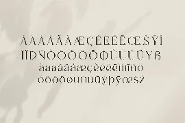 Badoga Modern Serif Font