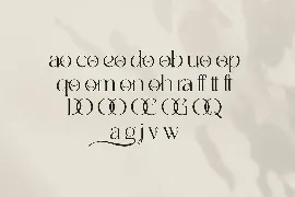 Badoga Modern Serif Font