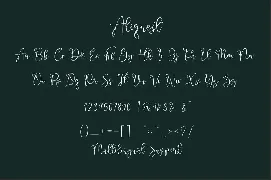 Aliquest font