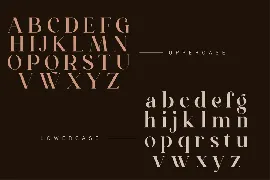 Modern Luxury Serif Font