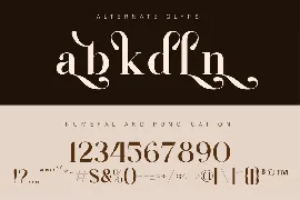 Modern Luxury Serif Font