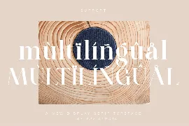 Modern Luxury Serif Font