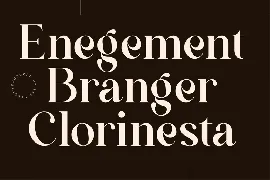 Modern Luxury Serif Font