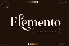 Modern Luxury Serif Font