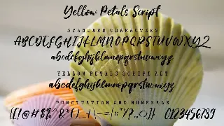 Yellow Petals Script font