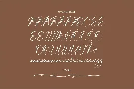 Barbera Patricia Modern Script Font