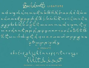 Bachelorette font