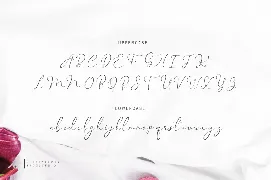 Mellody font