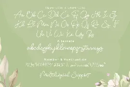 Vemina Handwritten Monoline Script font