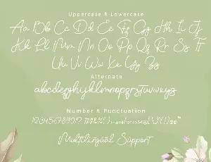 Vemina Handwritten Monoline Script font