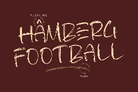 Hamberg Modern Brush Font