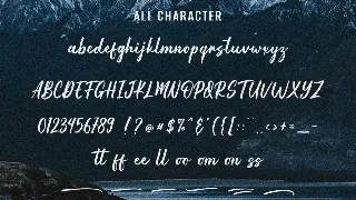 The Alaska - Modern Calligraphy font