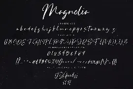 Magnolia Stylish Business Font