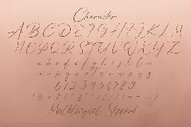 Bellamy Signature - Handwritten Font