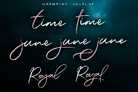 Jaming Signature Brush Font