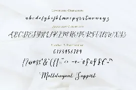 Overthinking - Modern Calligraphy font